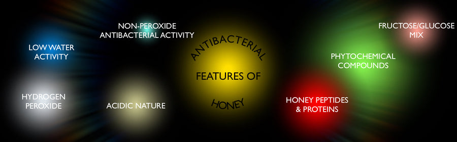 The antibacterial features of honey