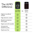 Ulmo Honey Company vs other ulmo honey comparison chart