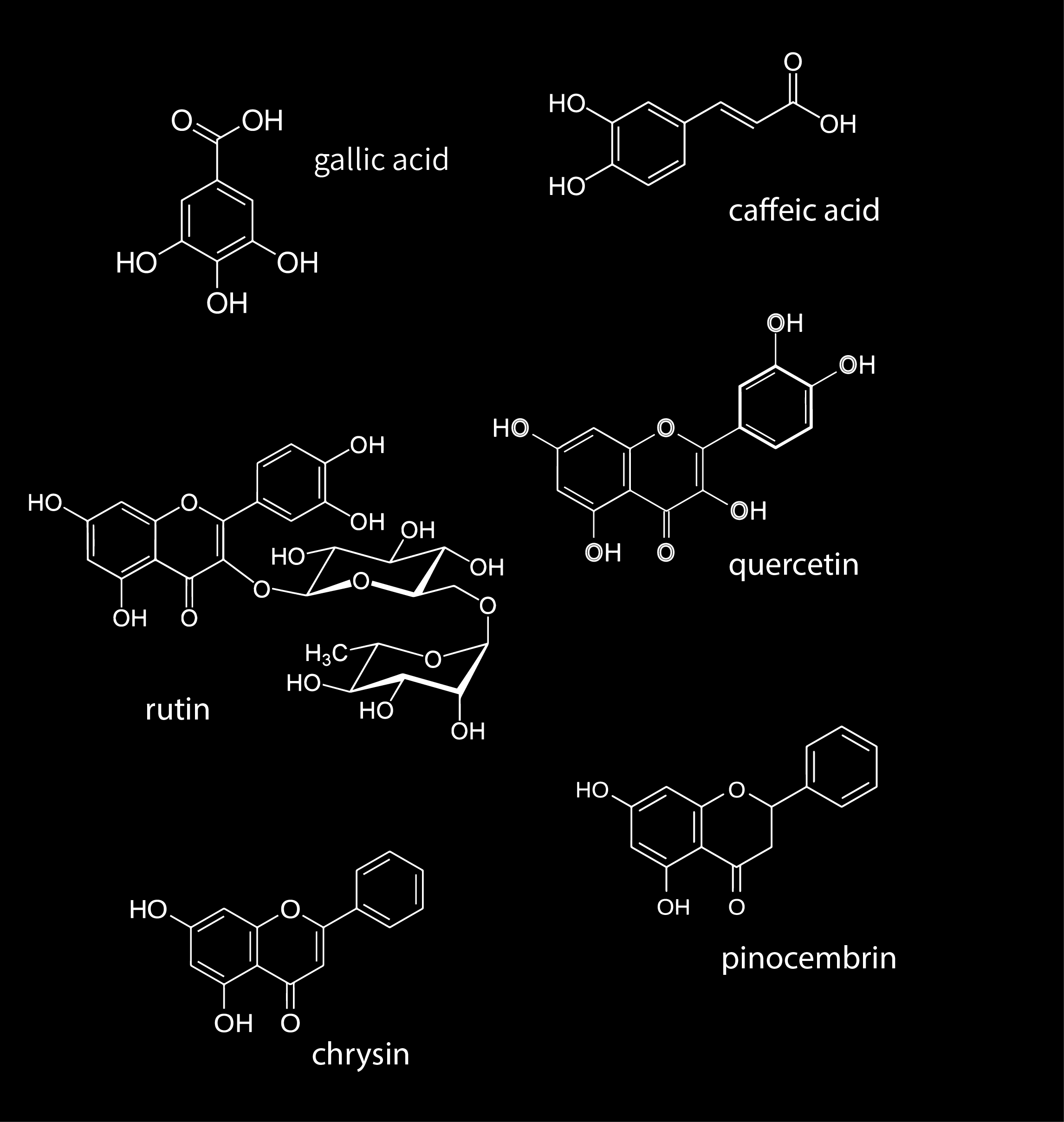 bioactive molecules found in ulmo honey, including flavonoids and polyphenols. 