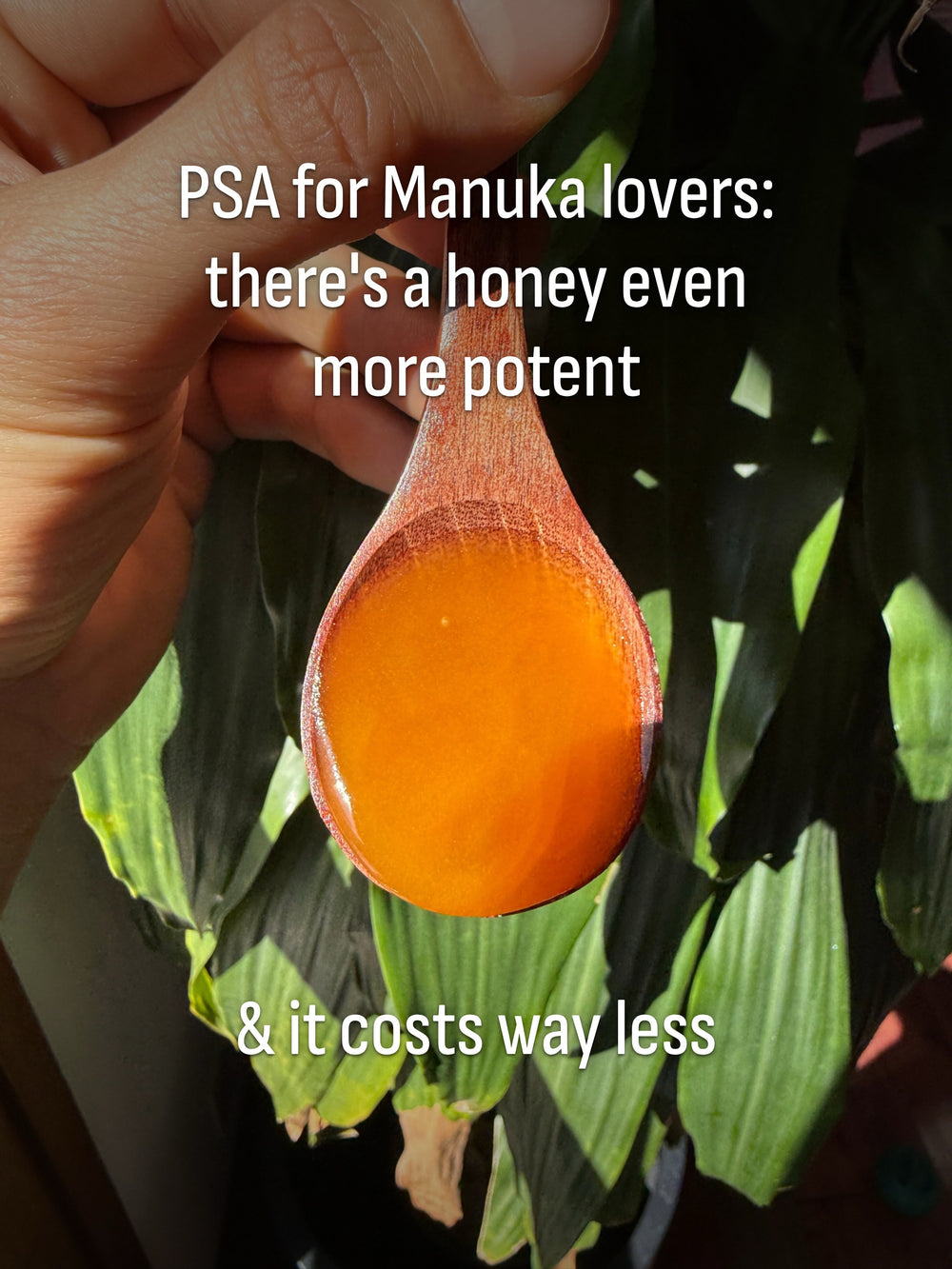 PSA for Manuka lovers: there's a honey even more potent, and it costs way less.